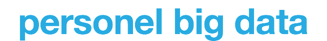 personel big data